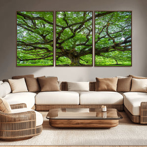 49375306-MGV-CV-36X24-Ancient Tree Wall Art Canvas Print, Framed Sprawling Branches Art Picture Print, Gnarling Tree Perfect Earthy Natural Decor