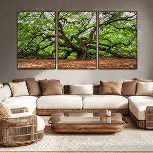 51255351-MGV-CV-36X24-Ancient Tree Wall Art – Majestic Oak Canvas Print, Large Nature Photography, Sacred Forest Landscape Wall Décor, Wisdom Tree