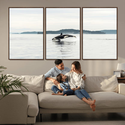 10157174-MGV-FC-60X30-3P_Walnut-Orca Whale Wall Art Canvas Print, Framed Black White Whale Art Picture Print, Minimalist Ocean Perfect Coastal Minimalist Decor