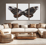 99831147-MGV-CV-36X24-Spotted Butterfly Wall Art Canvas Print, Framed Neutral Insect Theme Art Picture Print, Earthy Wing Pattern Perfect Modern Rustic