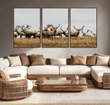 42170220-MGV-CV-36X24-Elk Herd Wall Art Canvas Print, Framed Wildlife Photography Art Picture Print, Majestic Antlers Perfect Rustic Wildlife Decor