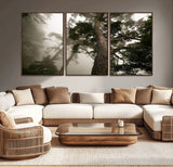 87969493-MGV-CV-36X24-Forest Wall Art – Misty Tall Trees Canvas Print, Dramatic Woodland Photography Decor for Bedroom, Living Room, Office, Cabin,