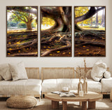 53335-MGV-FC-60X30-3P_Walnut-Majestic Tree with Sprawling Roots Wall Art – Serene Sunlit Park Scene, Nature Canvas Print, Perfect for Living Room, Office or