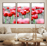 44554-MGV-FC-60X30-3P_Walnut-Vibrant red tulips stand out beautifully against a black-and-white background, making a striking decor piece perfect for any home