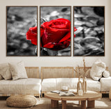 84671-MGV-FC-60X30-3P_Walnut-Red Rose Wall Art – Vibrant Single Bloom Canvas Print with Black and White Background, Elegant Floral Decor for Living Room,