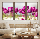 30632-MGV-FC-60X30-3P_Walnut-Purple Tulip Field Wall Art – Beautiful Spring Flowers Canvas Print with Soft Focus and Bright Sky, Ideal Floral Decor for Home or