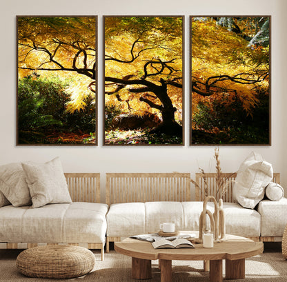 19067-MGV-FC-60X30-3P_Walnut-Golden Canopy Wall Art – Panoramic Autumn Tree Canvas Print, Warm Seasonal Decor for Living Room, Office or Garden Space