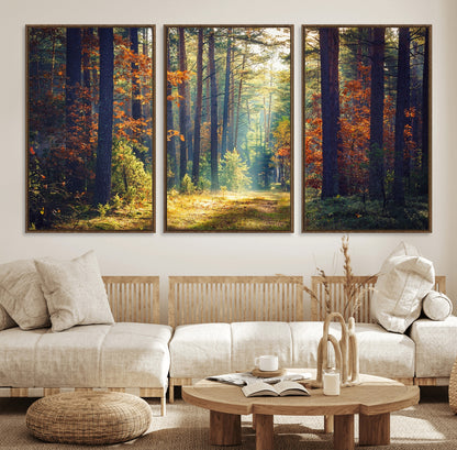 86249-MGV-FC-60X30-3P_Walnut-Sunlit Autumn Forest Path Wall Art – Peaceful Nature Scene with Fall Foliage, Calming Woods Decor for Home or Office