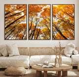11823-MGV-FC-60X30-3P_Walnut-Golden Autumn Tree Canopy Wall Art – Stunning Fall Forest Leaves Print, Warm Seasonal Nature Decor for Home, Office or Cabin