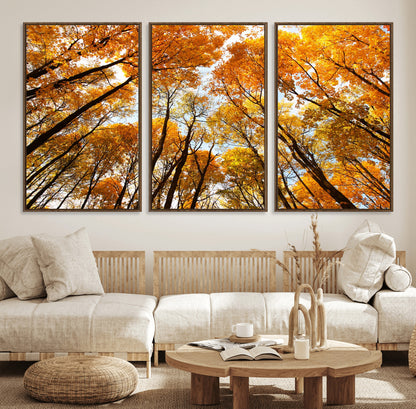 11823-MGV-FC-60X30-3P_Walnut-Golden Autumn Tree Canopy Wall Art – Stunning Fall Forest Leaves Print, Warm Seasonal Nature Decor for Home, Office or Cabin