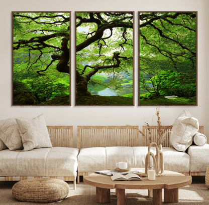 18094-MGV-FC-60X30-3P_Walnut-Emerald Canopy Wall Art – Panoramic Lush Green Tree Canvas Print, Serene Nature Decor for Office, Living Room or Meditation Space
