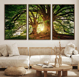 52150-MGV-FC-60X30-3P_Walnut-Majestic Tree Wall Art – Large Nature Canvas Print with Sunlight Through Branches, Rustic Forest Decor for Living Room, Bedroom or