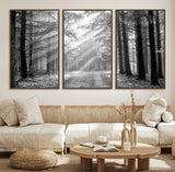 39665-MGV-FC-60X30-3P_Walnut-Black and White Forest Path Wall Art – Sunlight Rays in Trees Canvas Print, Nature Landscape Decor for Living Room or Office