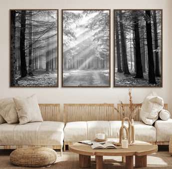39665-MGV-FC-60X30-3P_Walnut-Black and White Forest Path Wall Art – Sunlight Rays in Trees Canvas Print, Nature Landscape Decor for Living Room or Office