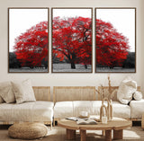 80021-MGV-FC-60X30-3P_Walnut-Red Tree Wall Art – Striking Black and White Landscape Canvas Print with Vibrant Red Leaves, Modern Nature Decor for Living Room