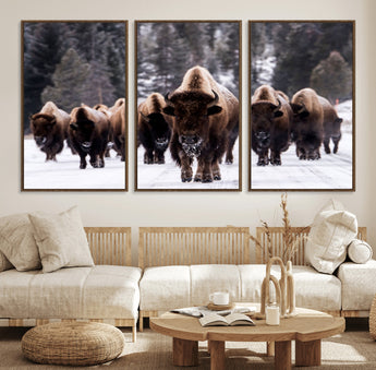 66871-MGV-FC-60X30-3P_Walnut-Bison Herd Wall Art – Wildlife Buffalo Canvas Print, Rustic Western Nature Photography Decor for Living Room, Office, Cabin, or
