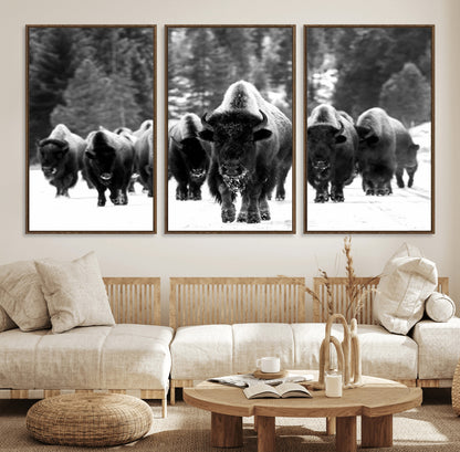 62434-MGV-FC-60X30-3P_Walnut-Bison Herd Wall Art – Majestic Black and White Buffalo Canvas Print, Wildlife Nature Photography Decor for Living Room, Office or