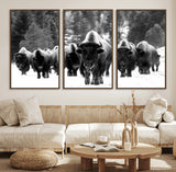 62434-MGV-CV-36X24-Bison Herd Wall Art – Majestic Black and White Buffalo Canvas Print, Wildlife Nature Photography Decor for Living Room, Office or