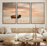 99699-MGV-CV-36X24-Bison in Prairie at Sunset – Wildlife Photography Print, American Buffalo Wall Art, Nature Landscape Canvas Decor for Office