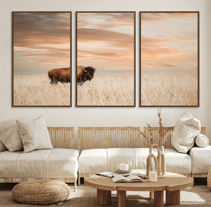 99699-MGV-CV-36X24-Bison in Prairie at Sunset – Wildlife Photography Print, American Buffalo Wall Art, Nature Landscape Canvas Decor for Office