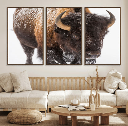 65605-MGV-CV-36X24-Snow Bison Wall Art – Close Up Buffalo Canvas Print, Rustic Western Wildlife Photography, Farmhouse Cabin Lodge Decor for Living