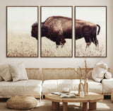 48406-MGV-CV-36X24-American Bison Wall Art – Rustic Buffalo Canvas Print in Prairie Field, Western Wildlife Photography Decor for Cabin, Lodge,