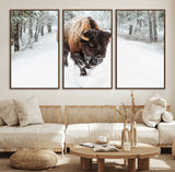 10109-MGV-CV-36X24-Majestic Bison Winter Wall Art – Snowy Forest Buffalo Canvas Print, Rustic Wildlife Photography Decor for Cabin, Lodge, Living