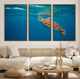91440-MGV-CV-36X24-Sea Turtle Wall Art – Ocean Turtle Canvas Print, Underwater Marine Life Decor for Living Room, Office, Beach House or Bathroom