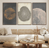 80725-MGV-FC-60X30-3P_Walnut-Wood Tree Rings Wall Art Canvas Print, Framed Tree Rings Art Picture Print, Abstract Tree Rings Perfect Modern Boho Decor Artwork