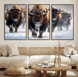 80512-MGV-CV-36X24-Bison Herd Wall Art – Buffalo Running in Snow Canvas Print, Rustic Wildlife Photography Decor for Cabin, Lodge, or Living Room