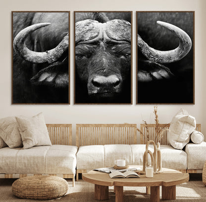 75273-MGV-FC-60X30-3P_Walnut-Buffalo Wall Art – Black and White African Buffalo Canvas Print, Rustic Wildlife Animal Artwork for Farmhouse, Living Room,
