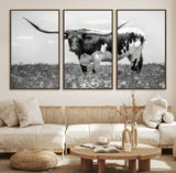 94709-MGV-FC-60X30-3P_Walnut-Texas Longhorn Wall Art – Black and White Bull Photography Canvas Print, Western Farmhouse Wall Decor for Living Room, Office or
