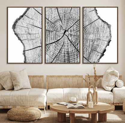 98709-MGV-CV-36X24-Tree Ring Wall Art – Black and White Canvas Print Rustic Wood Cross Section, Minimal Nature Inspired Decor for Living Room,
