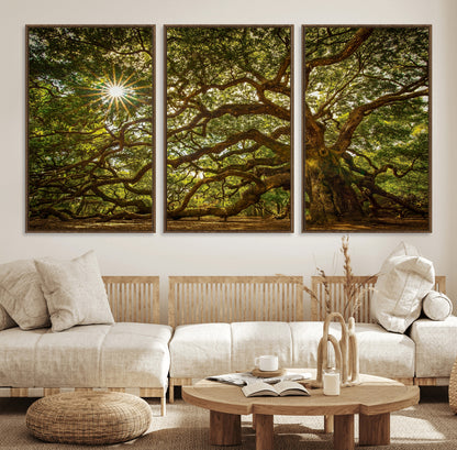 57983-MGV-CV-36X24-Angel Oak Tree Wall Art Canvas Print, Framed Oak Tree Art Picture Print, Angel Oak Perfect Rustic Nature Decor Artwork