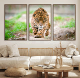 75066-MGV-CV-36X24-Leopard Wall Art Canvas Print, Framed Wild Animal Art Picture Print, Blue Eye Leopard Perfect Wild Minimal Decor Artwork