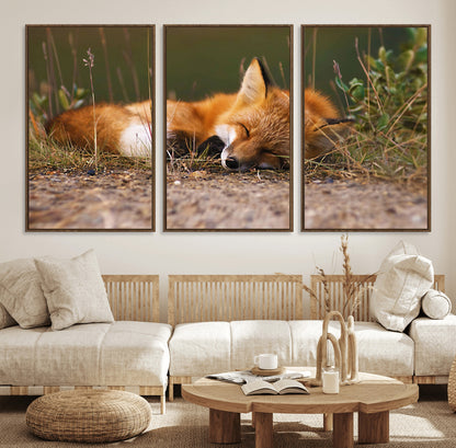 25085-MGV-CV-36X24-Sleeping Fox Wall Art Canvas Print, Framed Rustic Fox Art Picture Print, Wildlife Animal Perfect Rustic Farmhouse Decor Artwork
