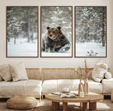 43350-MGV-FC-60X30-3P_Walnut-Wild Bear in Snow Wall Art – Majestic Wildlife Photography Print, Winter Forest Nature Decor for Cabin, Lodge, Rustic Home,