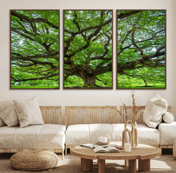 49375306-MGV-FC-60X30-3P_Walnut-Ancient Tree Wall Art Canvas Print, Framed Sprawling Branches Art Picture Print, Gnarling Tree Perfect Earthy Natural Decor