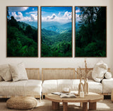 74439378-MGV-FC-60X30-3P_Walnut-Tropical Jungle Wall Art Canvas Print, Framed Lush Valley Art Picture Print, Forest Mountains Perfect Tropical Wilderness Decor