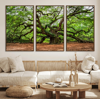 51255351-MGV-FC-60X30-3P_Walnut-Ancient Tree Wall Art – Majestic Oak Canvas Print, Large Nature Photography, Sacred Forest Landscape Wall Décor, Wisdom Tree