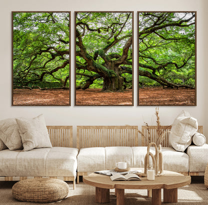51255351-MGV-FC-60X30-3P_Walnut-Ancient Tree Wall Art – Majestic Oak Canvas Print, Large Nature Photography, Sacred Forest Landscape Wall Décor, Wisdom Tree