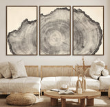 98921313-MGV-CV-36X24-Tree Ring Wall Art Canvas Print, Framed Wood Slice Art Picture Print, Minimalist Wood Perfect Rustic Academic Decor Artwork