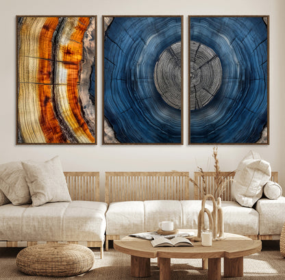 84489410-MGV-FC-60X30-3P_Walnut-Framed Abstract Tree Ring Wall Art Print, Natural Rustic Wood Texture Canvas Print, Wood Tree Stump Farmhouse, Log Cabin Wooden