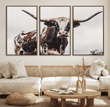 95249234-MGV-FC-60X30-3P_Walnut-Texas Longhorn Wall Art Canvas Print, Framed Spotted Bull Art Picture Print, Horned Cattle Perfect Rustic Farmhouse Decor Artwork