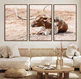 91248682-MGV-FC-60X30-3P_Walnut-Texas Longhorn Wall Art Canvas Print, Framed Resting Bull Art Picture Print, Spotted Cattle Perfect Rustic Western Decor Artwork