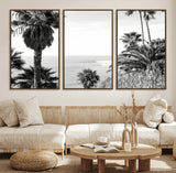 89458520-MGV-FC-60X30-3P_Walnut-Palm Trees Wall Art Canvas Print, Framed Coastal View Art Picture Print, Ocean Horizon Perfect Monochrome Coast Decor Artwork