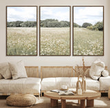 43258946-MGV-CV-36X24-Daisy Field Wall Art Canvas Print, Framed Pastel Flower Art Picture Print, Meadow Bloom Perfect Scandinavian Minimalist Decor