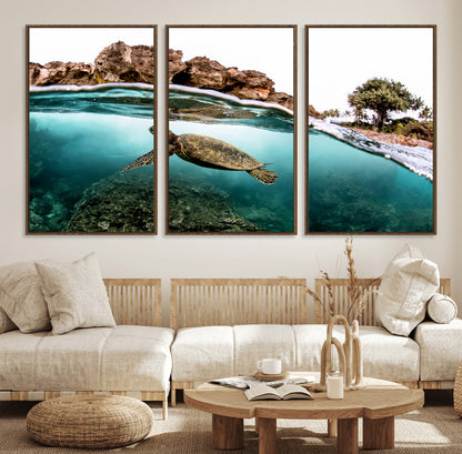 44200301-MGV-FC-60X30-3P_Walnut-Sea Turtle Swim Wall Art Canvas Print, Framed Ocean Life Art Picture Print, Tropical Shoreline Perfect Tropical Coastal Decor