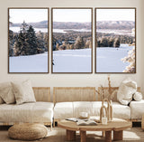 79857868-MGV-FC-60X30-3P_Walnut-Snowy Mountain Wall Art Canvas Print, Framed Ski Slope Art Picture Print, Winter Forest Perfect Modern Rustic Decor Artwork