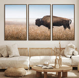 99620201-MGV-FC-60X30-3P_Walnut-Wild Bison Wall Art Canvas Print, Framed Bison in Prairie Art Picture Print, Rustic Western Perfect Rustic Western Decor Artwork